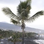playa jardin puerto cruz ponownie otwarta